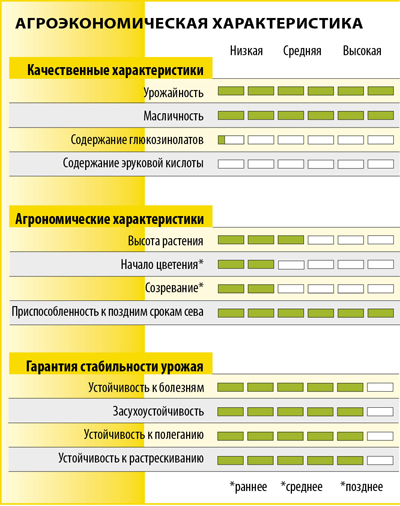 САЛЬСА СL F1 САЛЬСА СL F1