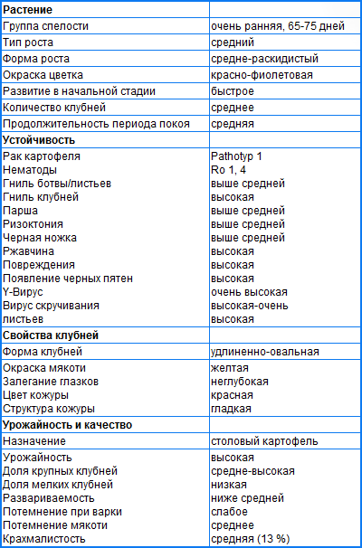 РОЗАРА РОЗАРА