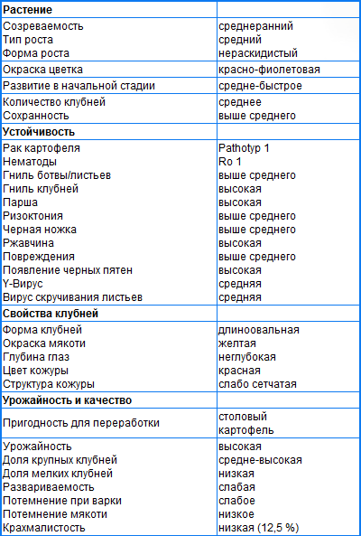 РЕД ЛЕДИ РЕД ЛЕДИ