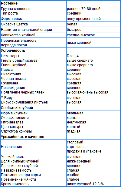 НАТАША НАТАША
