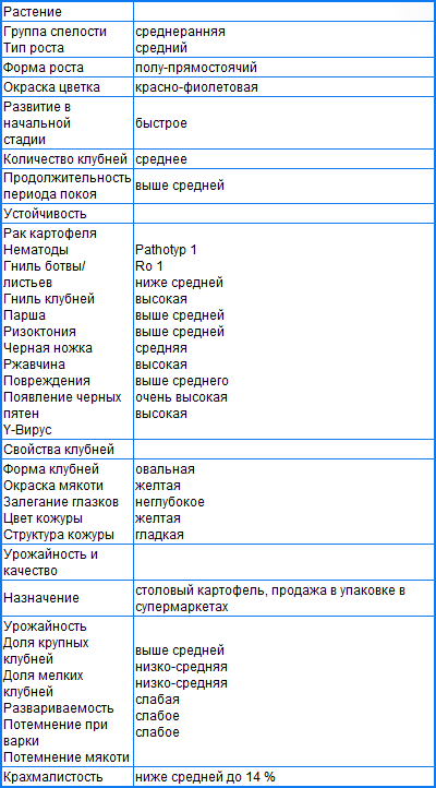 ЗЕКУРА ЗЕКУРА
