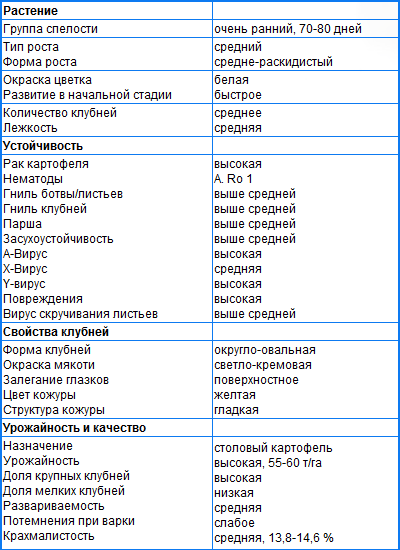 ВИТЕССЕ ВИТЕССЕ